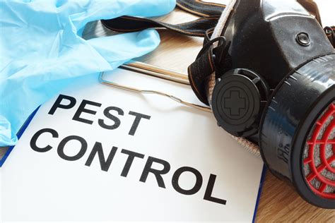 Solutions pest - Best Exterminators and pest control in Agadir, Souss-Massa-Drâa. Egora Agadir - Dératisation - Désinsectisation - Désinfection, Fanar Extincteur, Energic services, Security and Services …